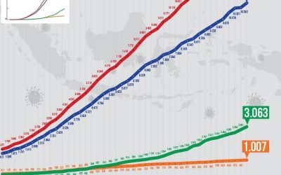 Benarkah Kurva Corona Kita Sudah Melandai?